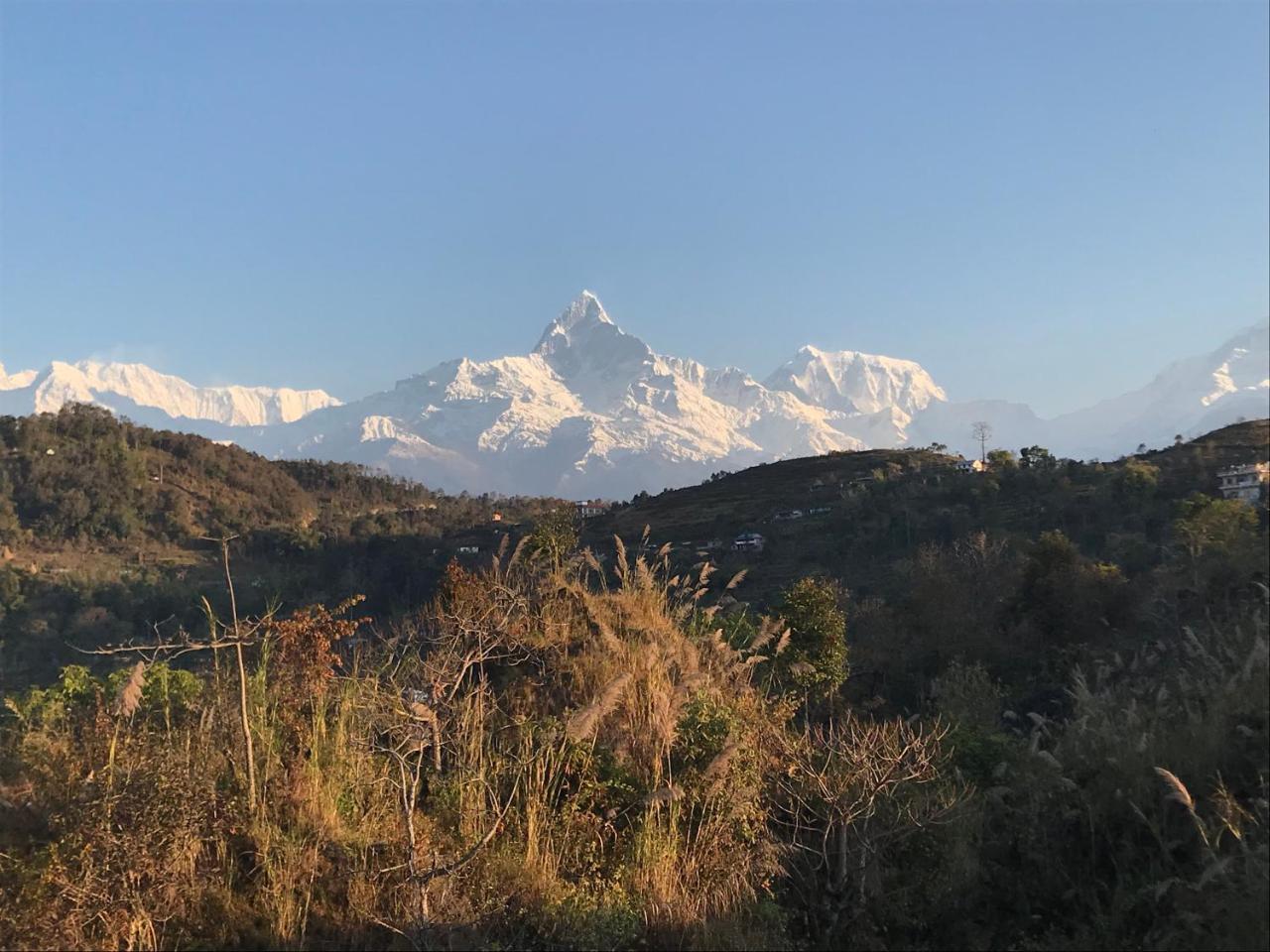 Green Hills Yoga Retreat פוקהרה מראה חיצוני תמונה